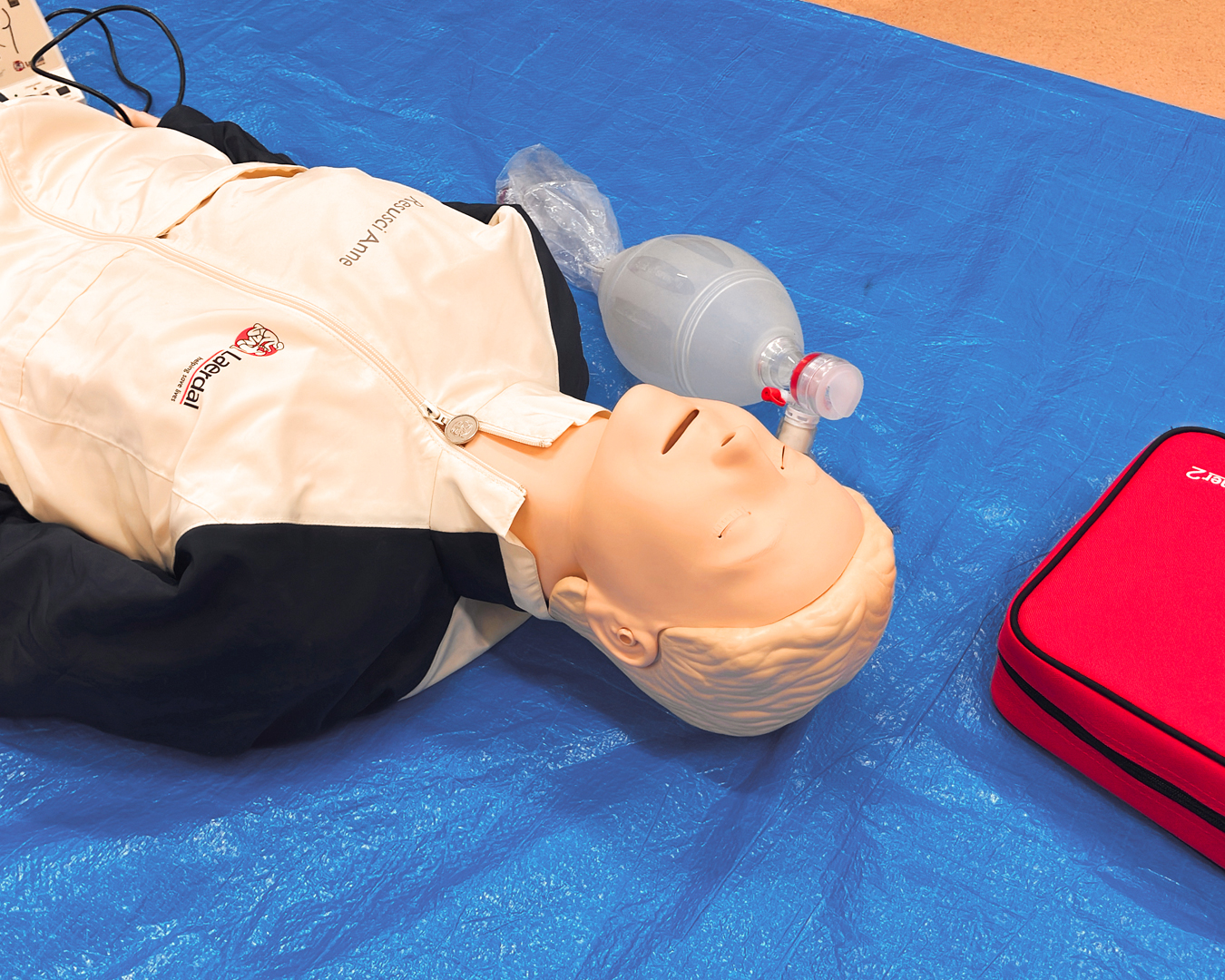 専用のマネキンを使用して行います。