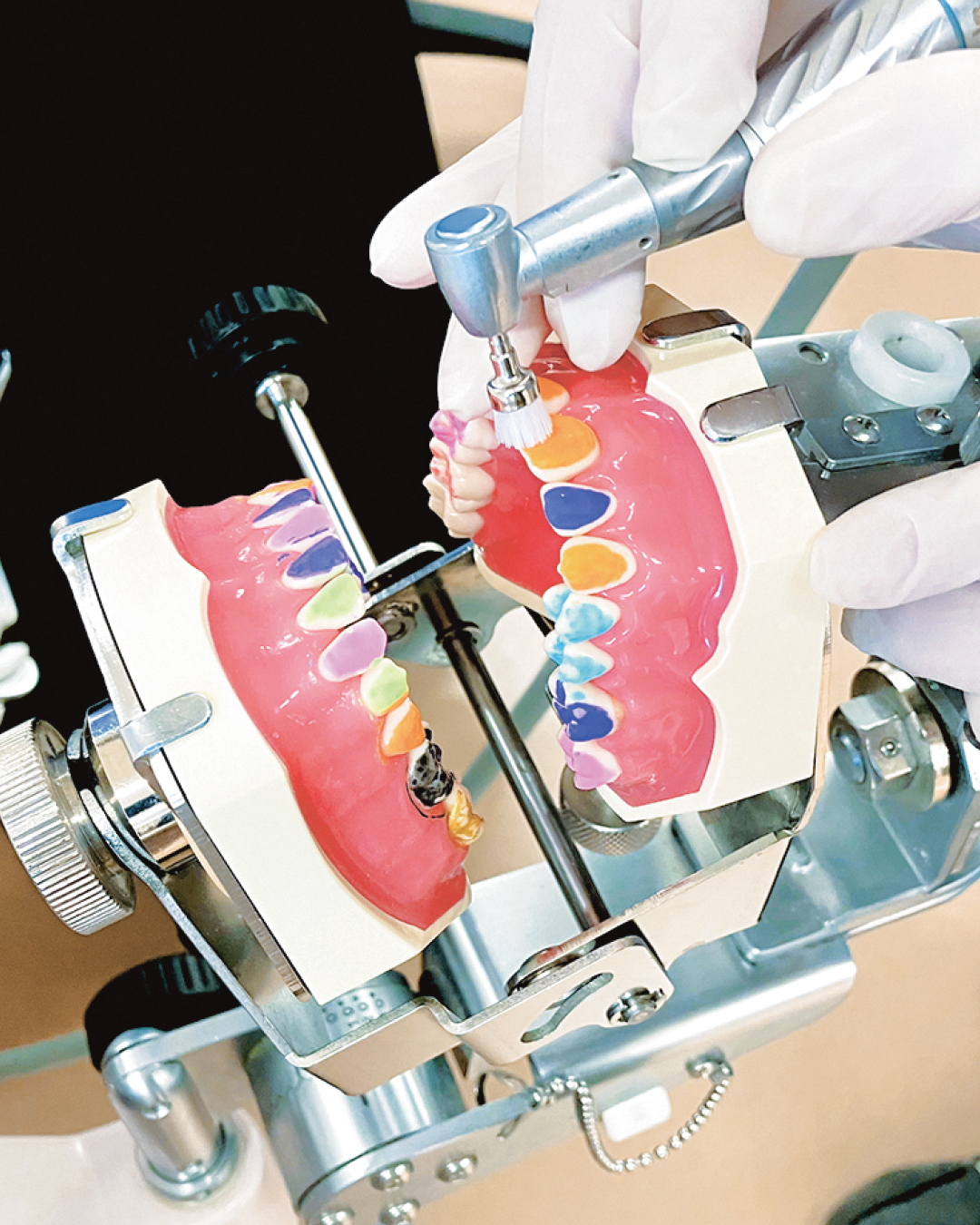 模型の歯をキレイにしていこう！