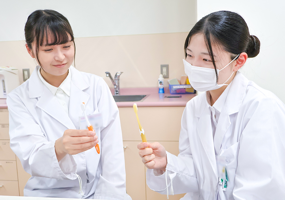 どれがいいかな？